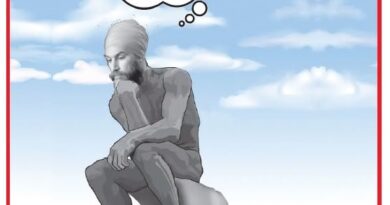 La Vignetta di Ynot