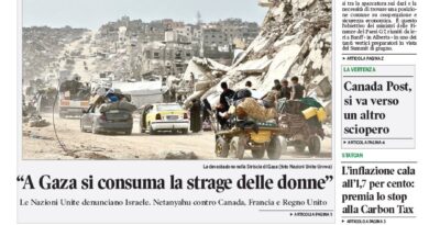 La nostra “vetrina”
