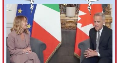 La Vignetta di Ynot