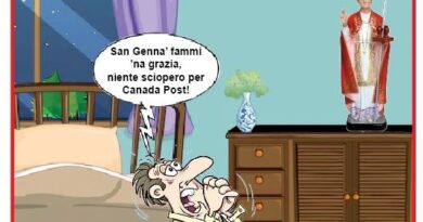 La Vignetta di Ynot