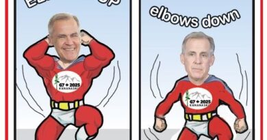 La Vignetta di Ynot