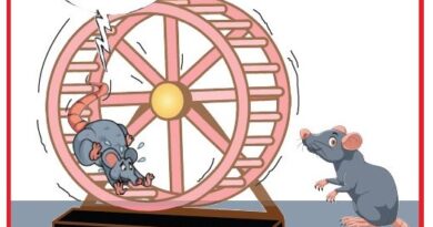 La Vignetta di Ynot