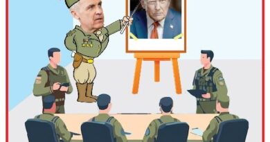 La Vignetta di Ynot