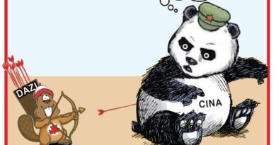 La Vignetta di Ynot