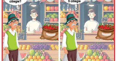 La Vignetta di Ynot