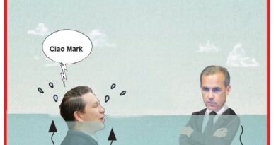 La Vignetta di Ynot