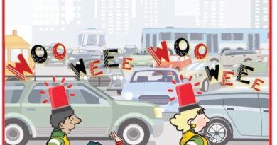 La Vignetta di Ynot