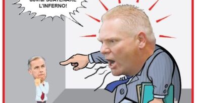 La Vignetta di Ynot