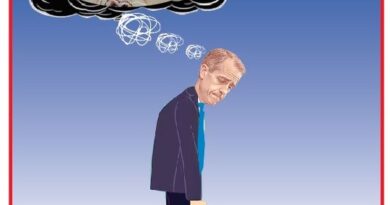 La Vignetta di Ynot