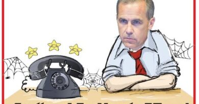 La Vignetta di Ynot
