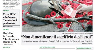 La nostra “vetrina”