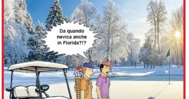 La Vignetta di Ynot
