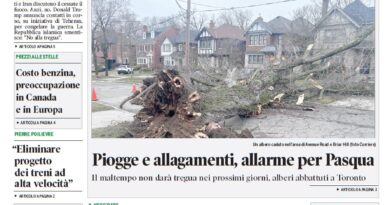 La nostra “vetrina”