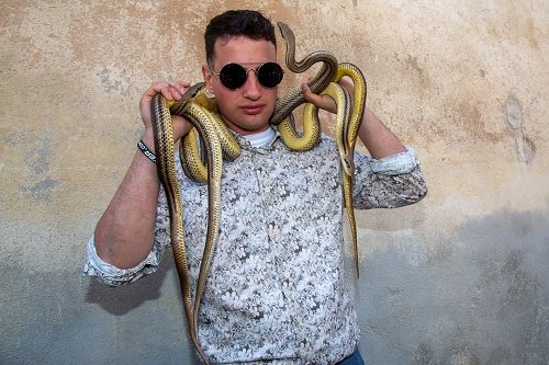 Man in sunglasses and a patterned shirt with multiple snakes draped over his shoulders against a beige wall.