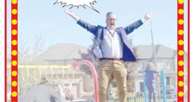Man on playground equipment with arms raised in celebration, speech bubble reads 'Ho vinto la lotteria!' and caption 'Accountability?' beneath.