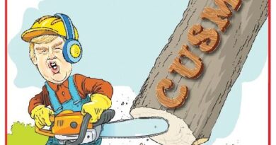 Cartoon of a lumberjack with helmet and gloves sawing a fallen tree trunk; an hourglass labeled 1 luglio appears nearby; a Ynot cartoon frame surrounds the scene.