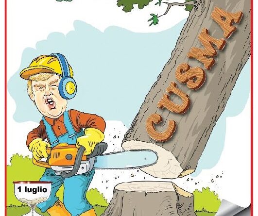 Cartoon of a lumberjack with helmet and gloves sawing a fallen tree trunk; an hourglass labeled 1 luglio appears nearby; a Ynot cartoon frame surrounds the scene.