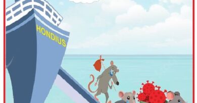 Cartoon of the ship Hondius at sea with mice carrying a bowl of red virus-like particles; caption reads: 'La nave Hondius dichiarata libera dall'Hantavaris'