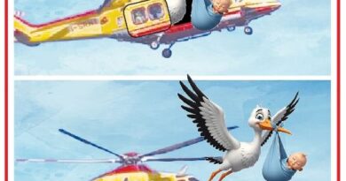 Two-panel cartoon: a yellow rescue helicopter lowering a blue bag with a baby in the first frame, sky background; in the second, a stork carries the bag toward the helicopter.