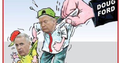 La Vignetta di Ynot