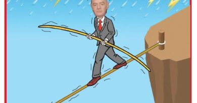 La Vignetta di Ynot