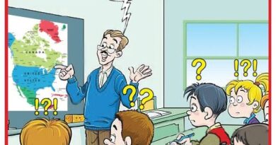La Vignetta di Ynot