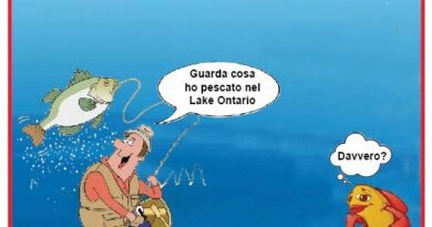 La Vignetta di Ynot
