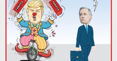 La Vignetta di Ynot