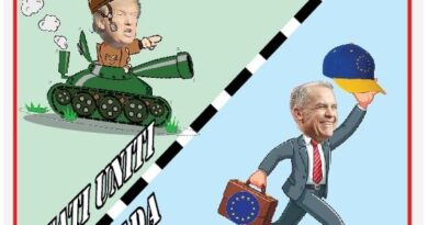 La Vignetta di Ynot