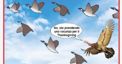 La vignetta di oggi